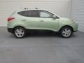 2013 Kiwi Green Hyundai Tucson GLS  photo #2