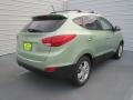 2013 Kiwi Green Hyundai Tucson GLS  photo #3