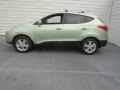 2013 Kiwi Green Hyundai Tucson GLS  photo #5