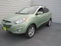 2013 Kiwi Green Hyundai Tucson GLS  photo #6