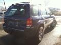 Vista Blue Metallic - Escape XLS 4WD Photo No. 5