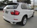 Alpine White - X5 xDrive 35i Photo No. 10