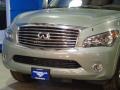 Mountain Sage - QX 56 4WD Photo No. 3