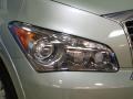 Mountain Sage - QX 56 4WD Photo No. 35