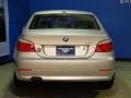 2010 Titanium Silver Metallic BMW 5 Series 528i xDrive Sedan  photo #8