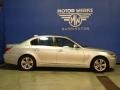 2010 Titanium Silver Metallic BMW 5 Series 528i xDrive Sedan  photo #11