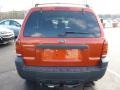 2005 Blazing Copper Metallic Ford Escape XLS 4WD  photo #4