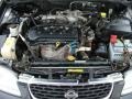 Blackout - Sentra GXE Photo No. 15