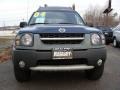 Just Blue - Xterra XE 4x4 Photo No. 2