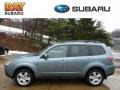 2010 Sage Green Metallic Subaru Forester 2.5 X Limited  photo #1