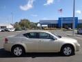 White Gold - Avenger SXT Photo No. 9