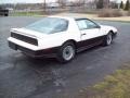 1983 White Pontiac Firebird Trans Am 25th Anniversary Daytona 500 Pace Car Coupe  photo #4