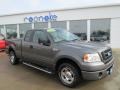 Dark Shadow Grey Metallic 2006 Ford F150 Gallery