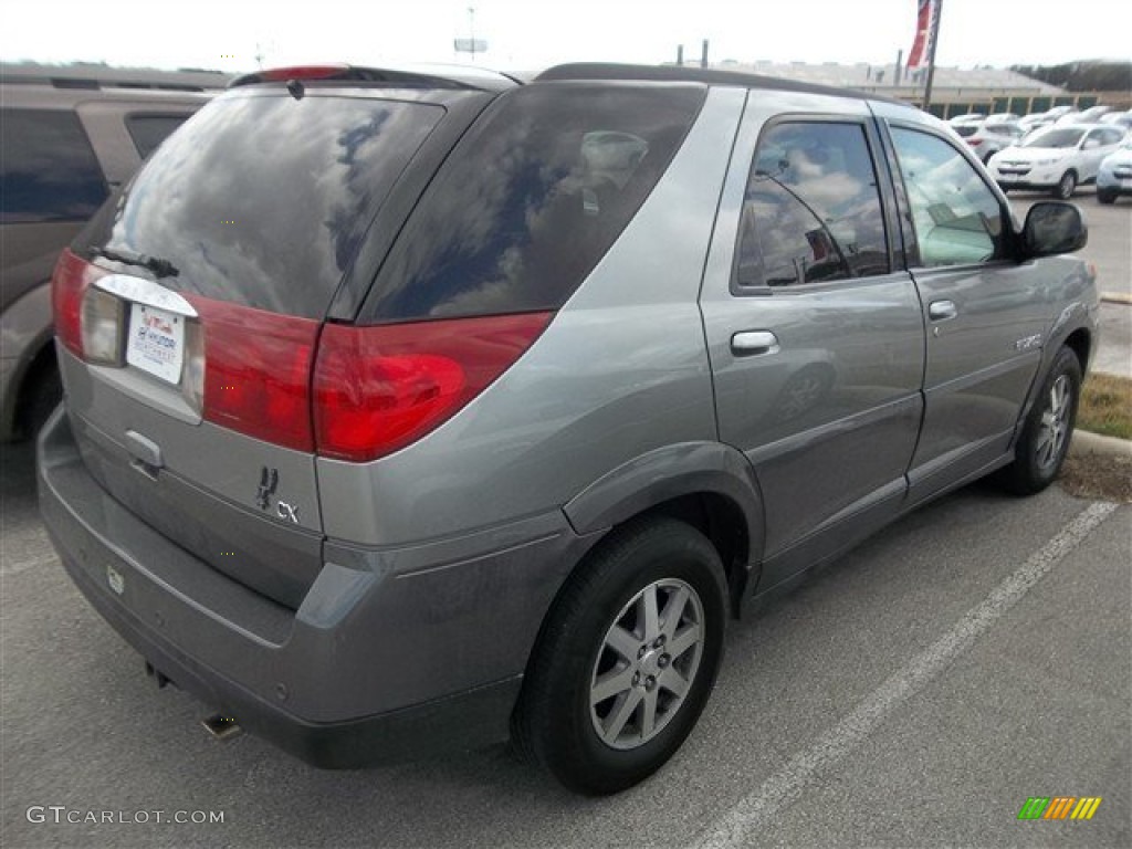 2003 Rendezvous CX - Silver Leaf Metallic / Gray photo #3