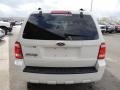 2009 White Suede Ford Escape XLT V6  photo #3