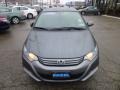 Polished Metal Metallic - Insight Hybrid EX Photo No. 2