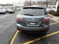 2010 Dolphin Gray Mica Mazda CX-9 Touring AWD  photo #6