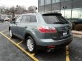 2010 Dolphin Gray Mica Mazda CX-9 Touring AWD  photo #7