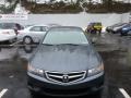 Carbon Gray Pearl - TSX Sedan Photo No. 14