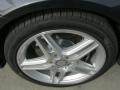 Steel Grey Metallic - E 350 Coupe Photo No. 10