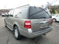 Vapor Silver Metallic - Expedition EL XLT 4x4 Photo No. 4