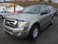 Vapor Silver Metallic - Expedition EL XLT 4x4 Photo No. 5