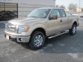 2013 Pale Adobe Metallic Ford F150 XLT SuperCab 4x4  photo #2