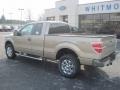 2013 Pale Adobe Metallic Ford F150 XLT SuperCab 4x4  photo #3