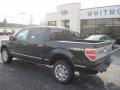 2013 Tuxedo Black Metallic Ford F150 Platinum SuperCrew 4x4  photo #3