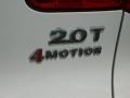 2011 Volkswagen Tiguan SE 4Motion Badge and Logo Photo