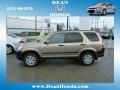 Sahara Sand Metallic - CR-V EX 4WD Photo No. 1