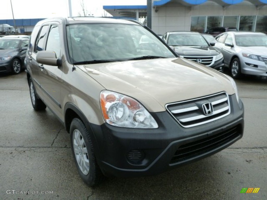 2005 CR-V EX 4WD - Sahara Sand Metallic / Ivory photo #6