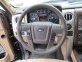 Adobe 2013 Ford F150 XLT SuperCrew Steering Wheel