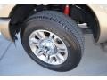 Tuxedo Black Metallic - F250 Super Duty King Ranch Crew Cab 4x4 Photo No. 20