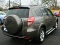 2010 Pyrite Metallic Toyota RAV4 Limited  photo #3