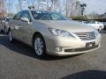 Satin Cashmere Metallic - ES 350 Photo No. 1