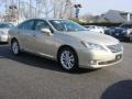 Satin Cashmere Metallic - ES 350 Photo No. 2