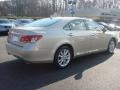 Satin Cashmere Metallic - ES 350 Photo No. 3