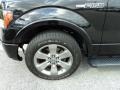 2011 Tuxedo Black Metallic Ford F150 FX2 SuperCrew  photo #14