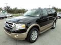 2012 Black Ford Expedition XLT  photo #13