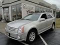 Light Platinum 2008 Cadillac SRX V6
