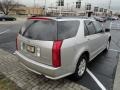 Light Platinum - SRX V6 Photo No. 4