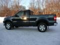 True Blue Metallic - F150 XLT Regular Cab 4x4 Photo No. 5