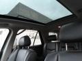 Light Platinum - SRX V6 Photo No. 14