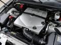 Light Platinum - SRX V6 Photo No. 17
