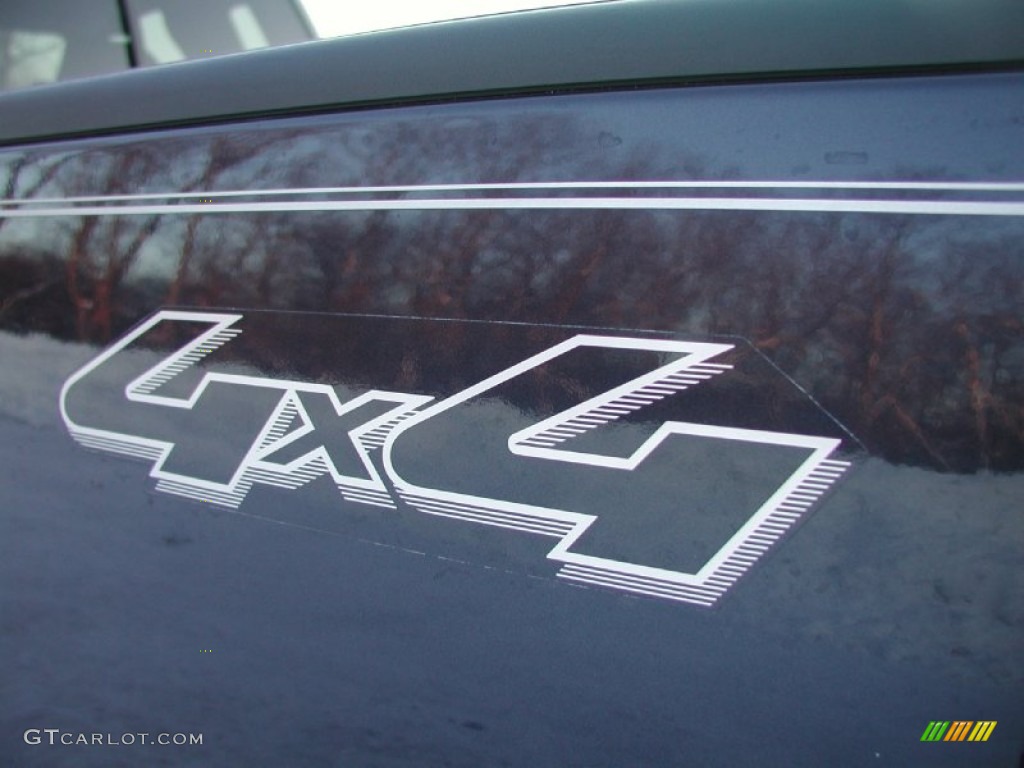 2004 F150 XLT Regular Cab 4x4 - True Blue Metallic / Medium/Dark Flint photo #27