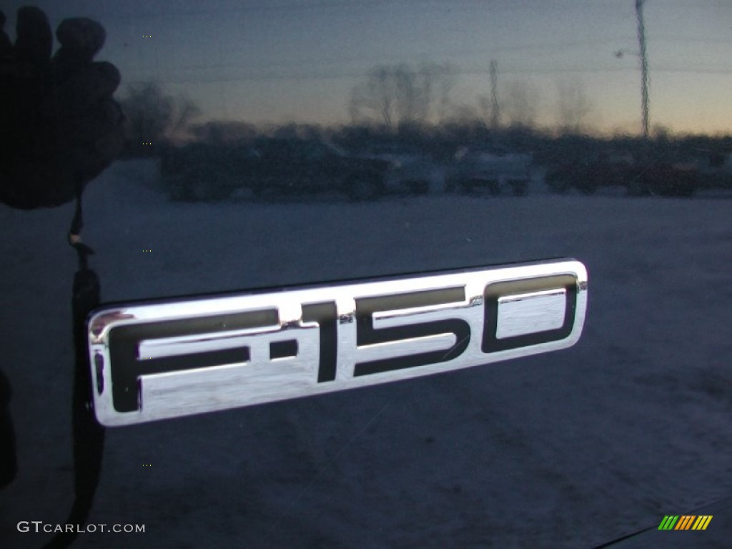 2004 F150 XLT Regular Cab 4x4 - True Blue Metallic / Medium/Dark Flint photo #29