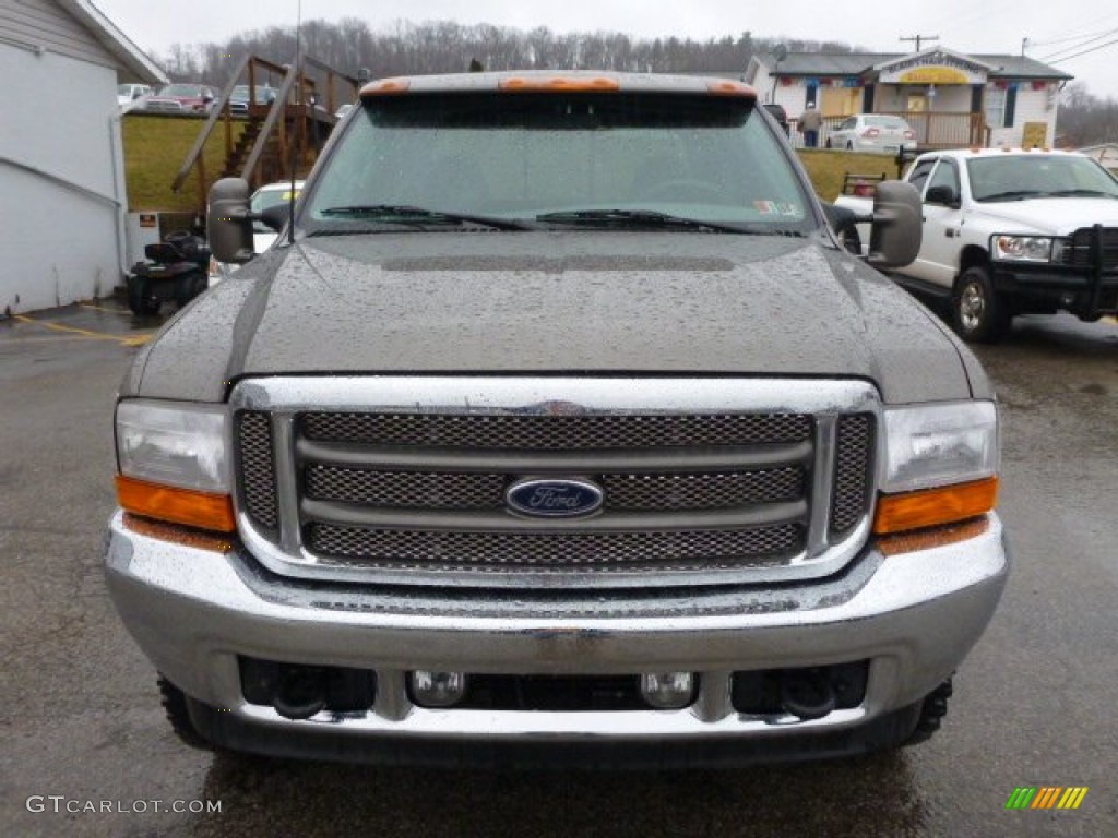 2001 F250 Super Duty Platinum Edition Super Crew 4x4 - Silver Metallic / Medium Parchment photo #7