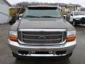 2001 Silver Metallic Ford F250 Super Duty Platinum Edition Super Crew 4x4  photo #7