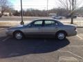 Light Bronzemist Metallic - LeSabre Custom Photo No. 3